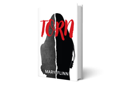 Torn – A Novel by Mary Flinn